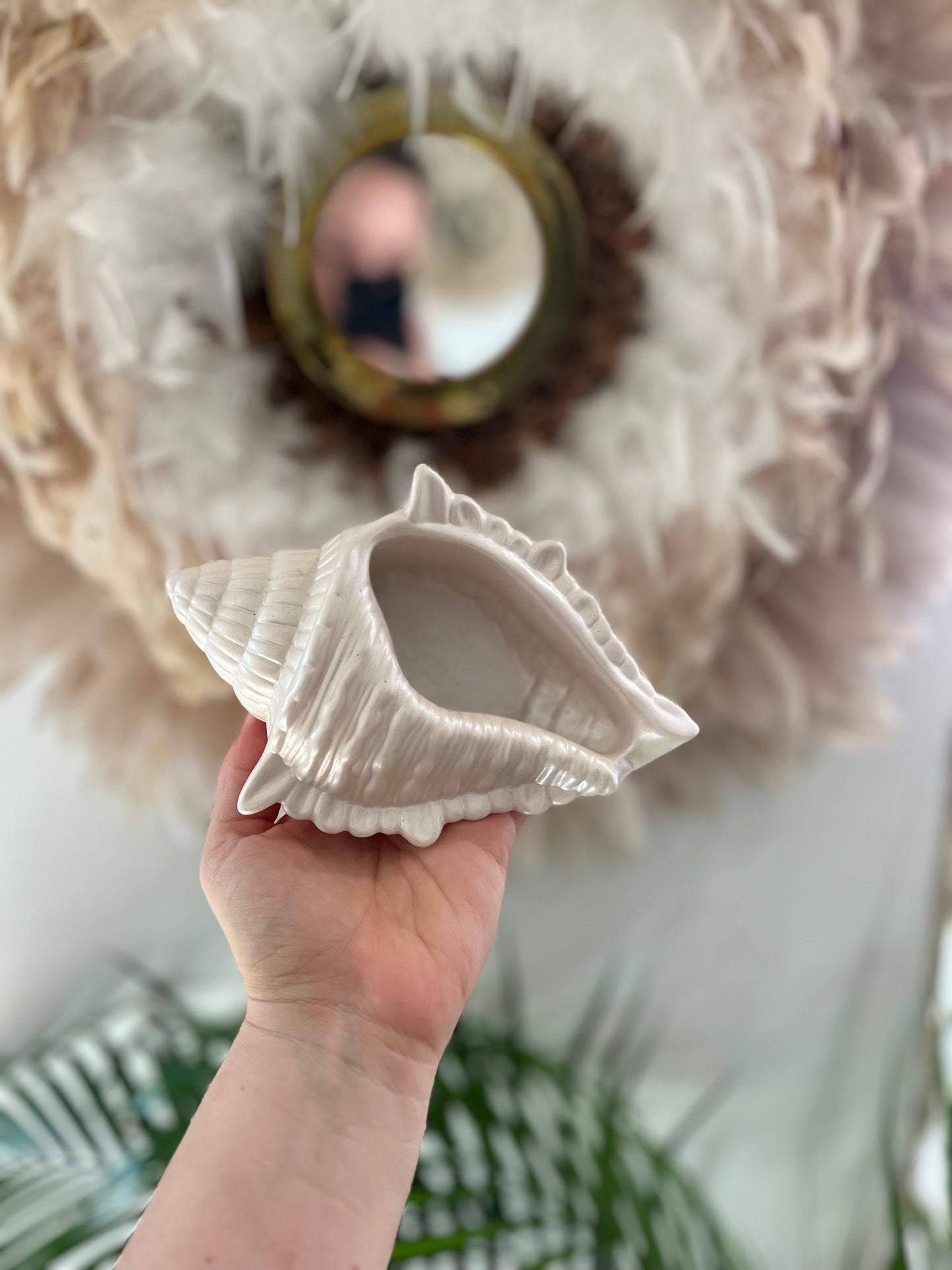 Coquillage Seychelles - Summer Vibes
