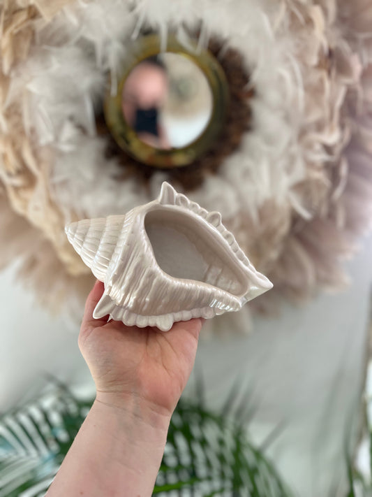 Coquillage Seychelles - Summer Vibes